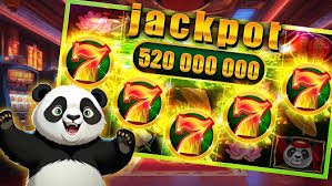 23win04 Live Casino